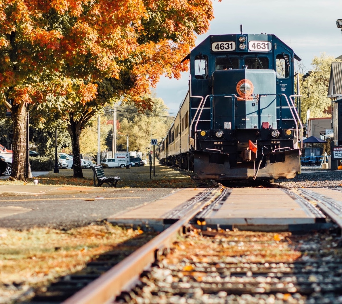 All Aboard The Blue Ridge Georgia Train Ride! | Overstay